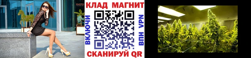 Где можно купить наркотики Новошахтинск МДМА Меф мяу мяу Бошки Шишки