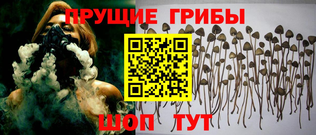 Галлюциногенные грибы Magic Shrooms Новошахтинск