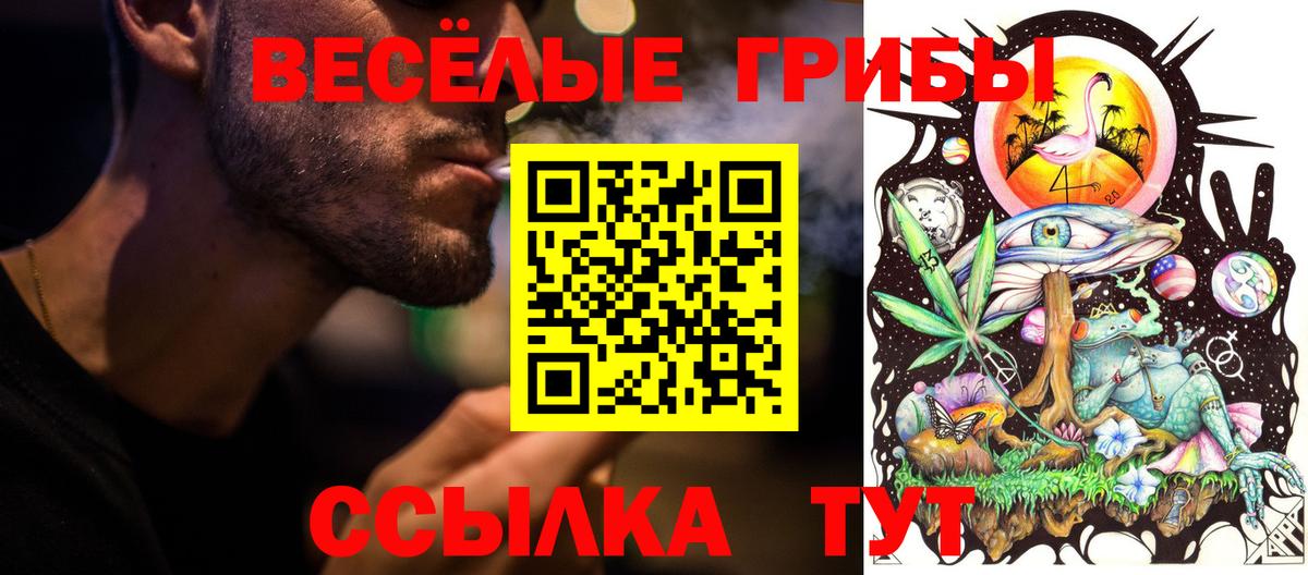 Галлюциногенные грибы Psilocybe Новошахтинск